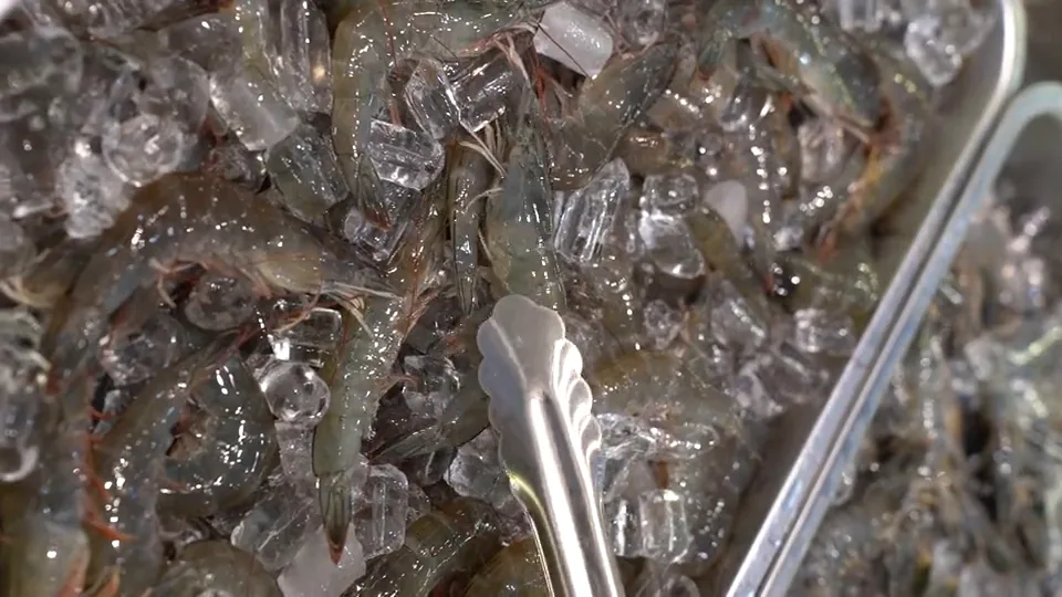 Pandangan dekat udang di atas ais di kaunter makanan laut QQ JB.